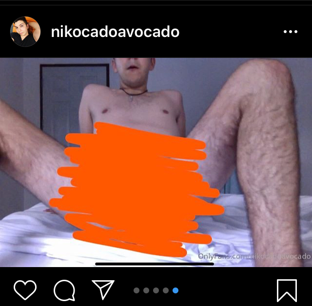 Nikocado avocado nudes