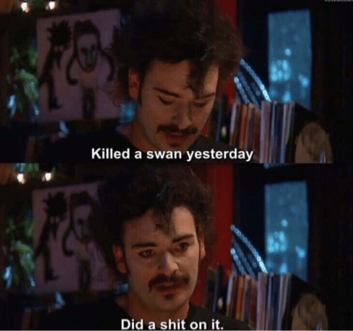 killed-a-swan-yesterday-did-a-shit-on-it-me-irl-37077771.png