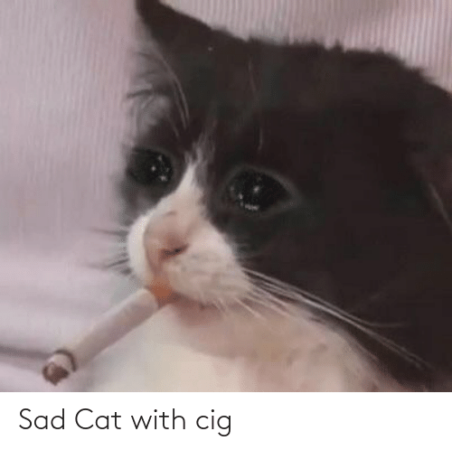 sad-cat-with-cig-67524235.png